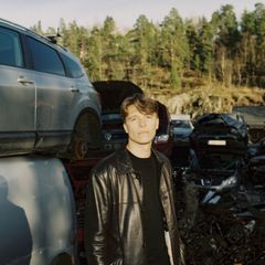 Zimmermann artwork Riper i lakken