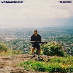 Artwork 100 spenn