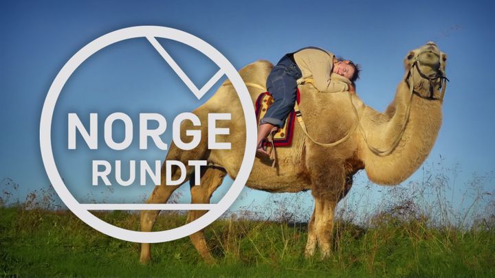 Svalin Runa Sætereng og kamelene hennes i Akkafjord i Finnmark er en av mange vi har møtt det siste året i Norge Rundt.