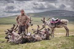 I Mongolia rir dei ikkje berre på hest, men også på rein. Jens Kvernmo lever med og som urbefolkninga der i dokumentarserien Jens i Mongolia.