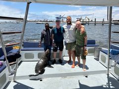 Øystein Bache og Rune Gokstad drar på deres ellevte tur sammen. Denne gangen reiser Team Bachstad til Afrika. Her etter et morgenbad med 250 seler i Namibia.