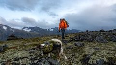 Monsen i Jotunheimen