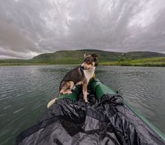 Rohkunborri og Øvre Dividal nasjonalparker
