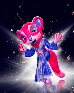 Ekornet