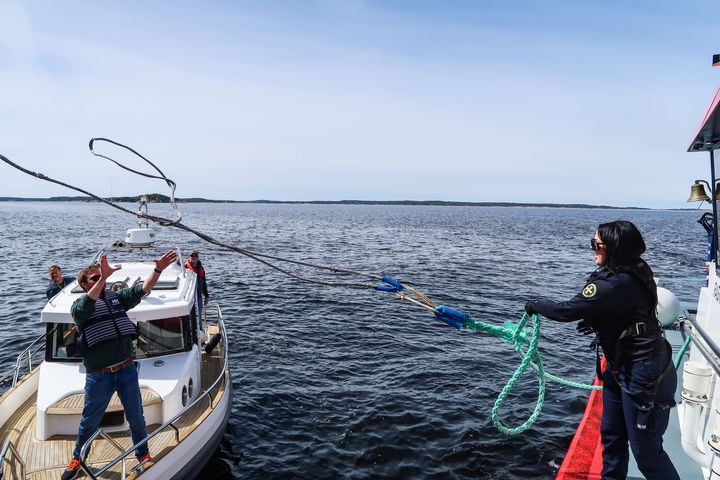 I 2024 utførte Redningsselskapet totalt 9674 oppdrag. Av disse var 4531assistanseoppdrag og 887 var søk- og redningsoppdrag.