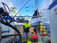 Gunhild Blien er opprinnelig fra Valdres, men flyttet til Finnmark i 2006. Etter mange år som lærer begynte hun som fisker i 2021. I dag fisker hun torsk og kongekrabbe i Tanafjorden.