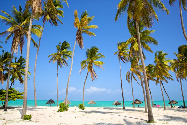 Nyhet! I vinter kan du reise til Zanzibar med Apollo.