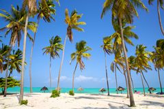 Nyhet! Apollo lanserer reiser til Zanzibar.