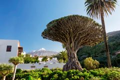 Tenerife