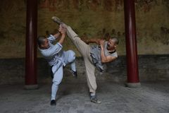 Shaolin Kung Fu