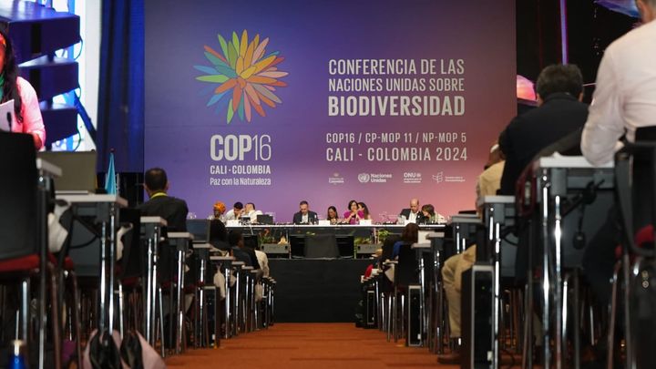 FN-sambandet gir deg noen av begrepene du bør kunne for å følge forhandlingene på naturtoppmøtet COP16, som holdes i Cali, Colombia, fra 21. oktober til 1. november. Foto: UN Biodiversity/Flickr