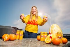 Solosjef i Ringnes, Ida Davidsen.