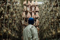 Pinnekjøttproduksjon på Jæren