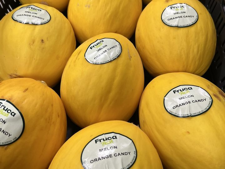 Orange Candy Melon hos Extra Tangvall