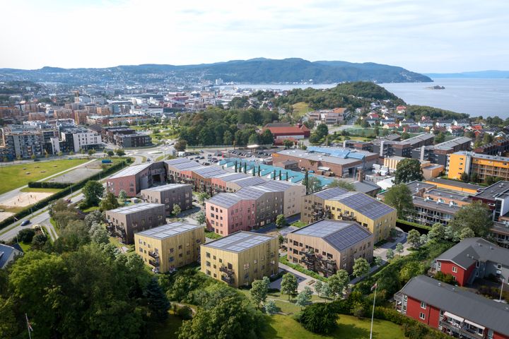 Nå starter forhåndssalget på Gartnersletta Parshellhaven som ligger på Lade i Trondheim.