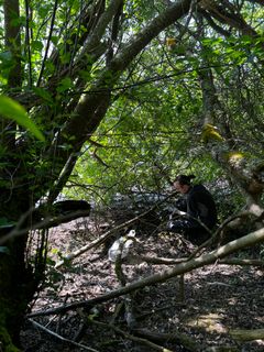 John Harald Sand plukker og registrerer søppel funnet i Gansvika, Akershus.