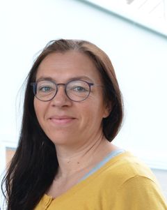 Maria Pettersvik Arvnes, Seniorrådgiver i Norges Fiskarlag og nytt styreleder i Hold Norge Rent