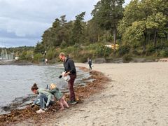 Strandrydding: Frivillig rydding er avhengige av stabile rammevilkår, statens foreslåtte kutt på 80 prosent er det motsatte av hva frivillige trenger for å kunne fortsette ryddeinnsatsen.