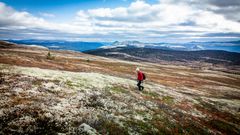 Kvinne osm går på tur i Tronfjellet i Alvdal