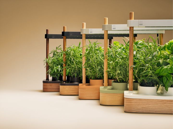 Auk Mini 2, et kompakt innendørs dyrkesystem med frodige planter.