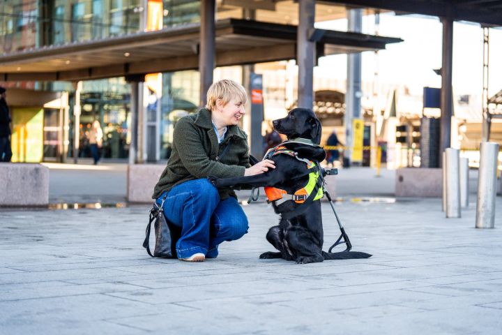 En kvinne med kort, blondt hår sitter på huk og smiler til en svart labrador som har sele på seg.