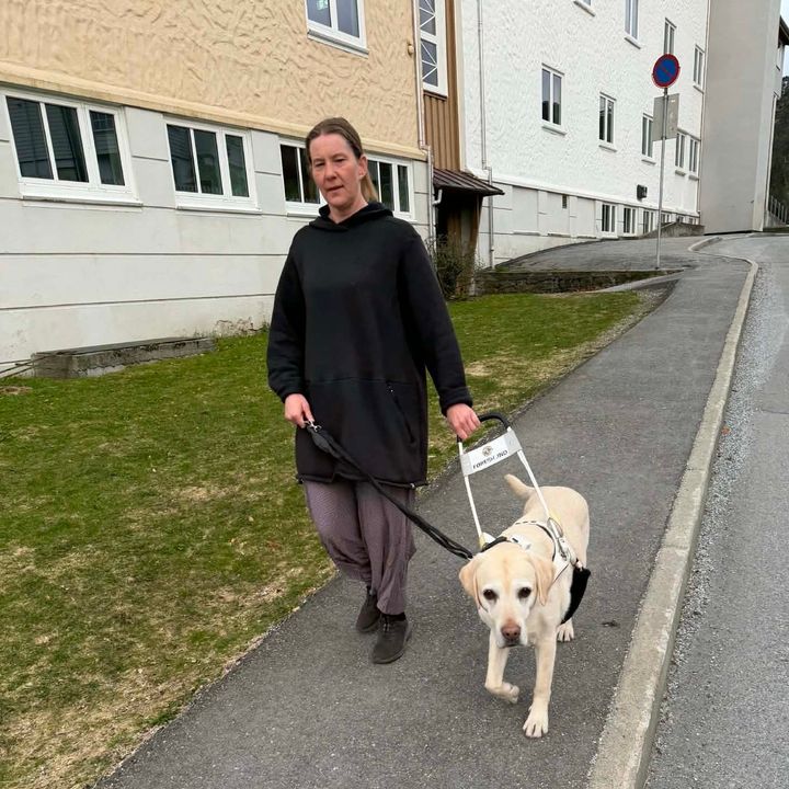 Dame går på gangvei med førerhund