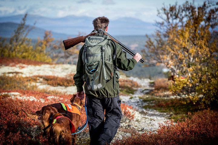 Hunder og jegere gleder seg til høsting.