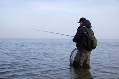 Når vil vi kunne fiske sjøørret i Oslofjorden igjen?