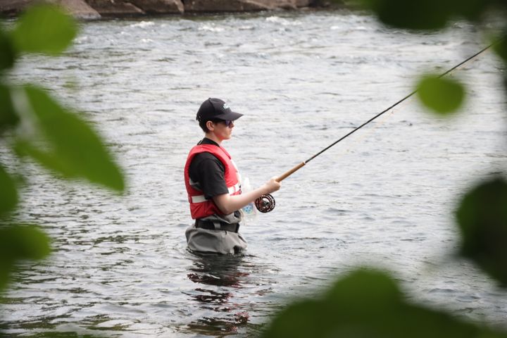 Laksefisket er under press på grunn av oppdrettsnæringen