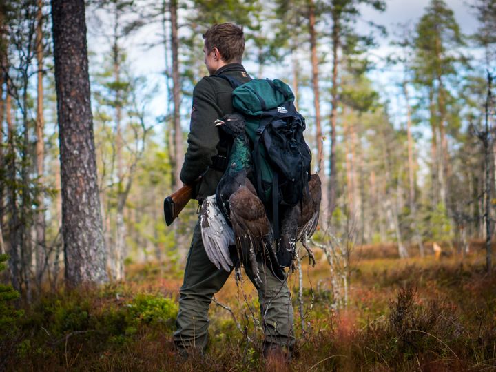 Skogsfugljakt er en populær inngangsport til jegerlivet