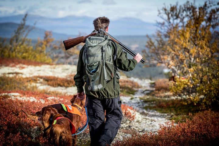 Nå er det mange jegere – og hundene deres – som er på vei til småviltjakt.