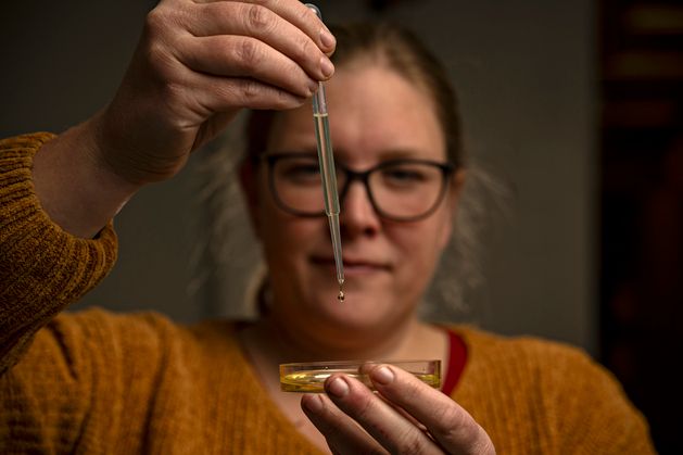 Nå er det vist at avl kan øke omega-3-innholdet i mikroalger betydelig. Marie Lillehammer står bak forskningen.