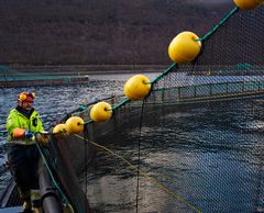 Det er arbeiderne på merdkanten som skaper de største verdiene i norsk havbruk.