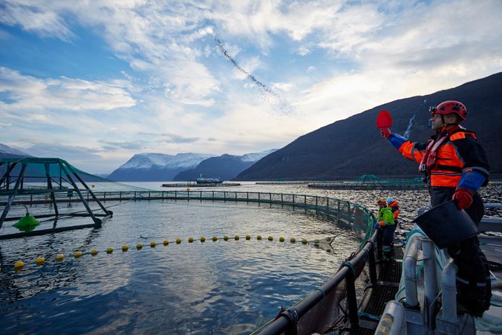 Hver ansatt på merdkanten i norsk havbruksnæring bidrar med 4,6 millioner kroner i verdiskaping. Bildet er fra Lerøys anlegg i Kåfjord i Troms.