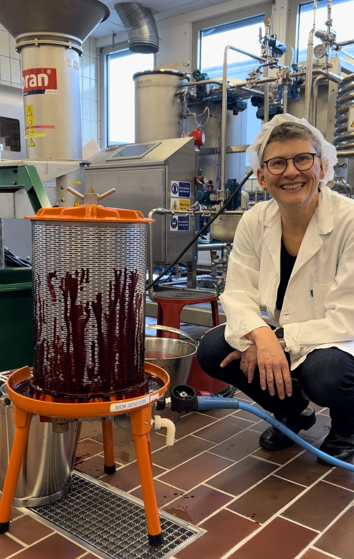 Nofima-forsker Kjersti Aaby og hennes kolleger hjelper blant annet lokalmatprodusenter å utvikle produkter med solbær og andre bær.
