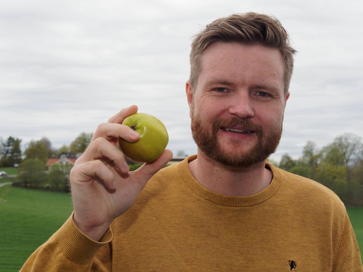 Du skal ikke dømme eplene på utseendet, viser forskningen til Mads Erling Pedersen. Foto: Georg Mathisen, Nofima