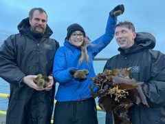 Forskningsassistent Tor Hatten Evensen, kommunikasjonsrådgiver Oda Bjørnsborg og seniorforsker Philip James gleder seg til å løse tareskogmysteriet sammen med elevene. Foto: Nofima