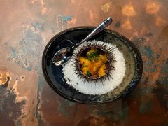 Kråkeboller er en delikatesse på restauranter, men skallet kastes som regel. Nå har forskere funnet ut at skallet kan brukes som gjødsel til plen og planter. Foto: Lidunn Mosaker Boge