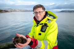 Seniorforsker i Nofima, Philip James, viser frem havdyret som kan gjøre plenen din grønnere. Foto: Lars Åke Andersen