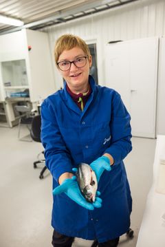 Trine Ytrestøyl has researched salmon and how stress combined with different feeds affects the red colour. The fish in the photo was not part of the research.
