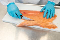 Stressed salmon become paler, with one exception, according to new research.