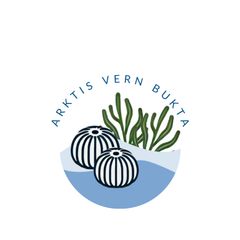Arktis Vern Bukta heter arrangementet som skal pågå i Telegrafbukta i Tromsø i juni. Bilde: Marine Spark X