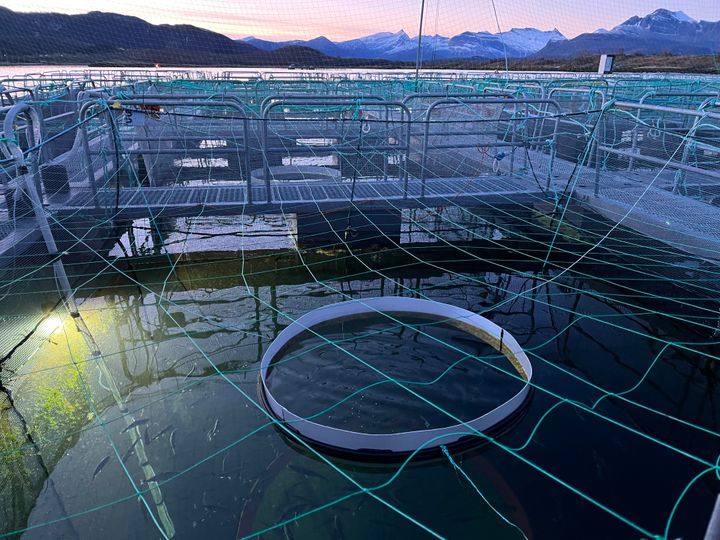 Underwater light at a research facility in Northern Norway during the polar night.