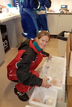 Nini Sissener has researched the synergies between the lipid cholesterol and saturated fat in the salmon’s nutrition.