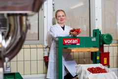 – Det viktigste er å handle raskt når bærene tas ut av fryseren. Hvis du skal lage syltetøy, dropp langsom tining, og varm dem i mindre enn ti minutter for å bevare innholdsstoffene best mulig, tipser rådgiver Cecilia Kippe i Nofima.