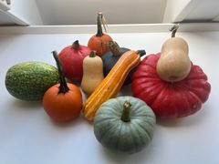 Her er gresskarene smaksdommerne vurderte.