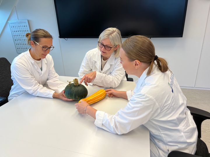 Nofimas smaksdommere vurderte både utseende, lukt og smak. Her diskuterer de tre dommerne (f.v) Malin Sommerseth, Ann Kristin Enger og Gry Anette Valstad utseende.