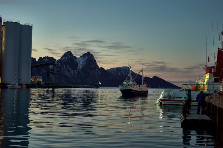 - For de fleste deler av sjømatnæringen var 2024 nok et greit år, slår Nofimas forskere fast i rapporten om sjømatnæringens ringvirkninger i 2024.