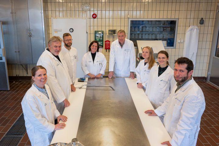 Her er fagansvarlige for Nofimas pilothaller samlet. De er klare til å hjelpe økologiske produsenter med alt fra justering av resepter til å utvikle ideer til ferdige produkter.