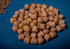 Forbrukerne i England og Frankrike har liten kunnskap om hva laksens fôr består av. Foto: Helge Skodvin, Nofima.